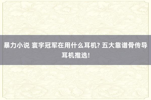 暴力小说 寰宇冠军在用什么耳机? 五大靠谱骨传导耳机推选!