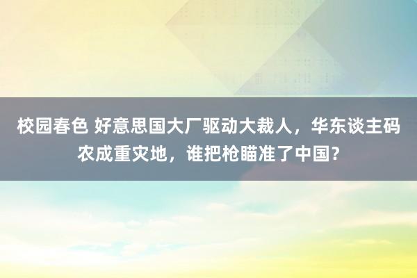 校园春色 好意思国大厂驱动大裁人，华东谈主码农成重灾地，谁把枪瞄准了中国？