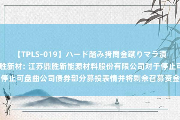 【TPLS-019】ハード踏み拷問金蹴りマラ潰し処刑 JUN女王様 鼎胜新材: 江苏鼎胜新能源材料股份有限公司对于停止可盘曲公司债券部分募投表情并将剩余召募资金进入其他募投项指标公告