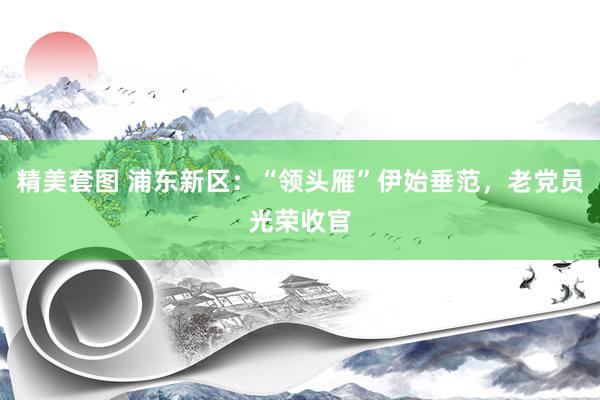精美套图 浦东新区：“领头雁”伊始垂范，老党员光荣收官