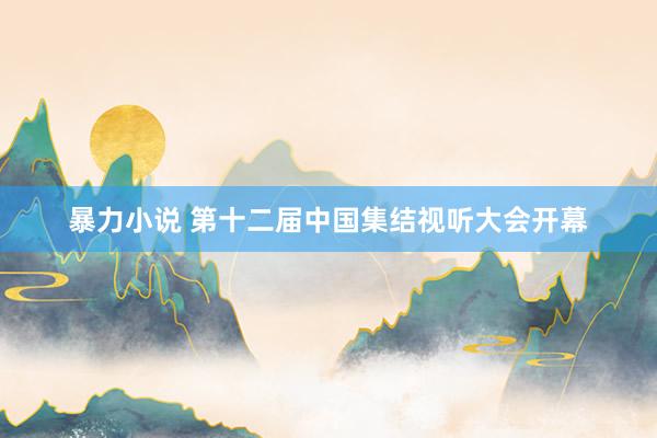 暴力小说 第十二届中国集结视听大会开幕