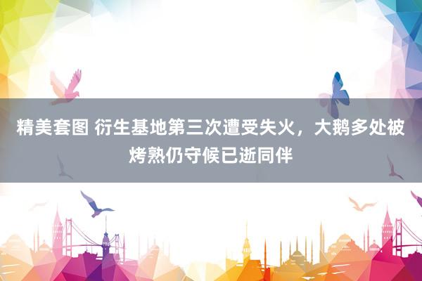 精美套图 衍生基地第三次遭受失火，大鹅多处被烤熟仍守候已逝同伴