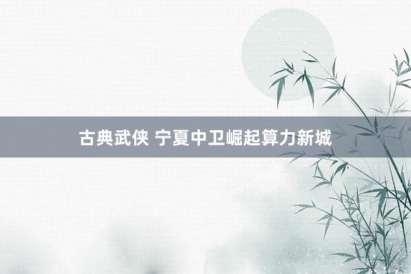 古典武侠 宁夏中卫崛起算力新城