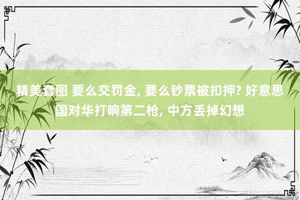 精美套图 要么交罚金， 要么钞票被扣押? 好意思国对华打响第二枪， 中方丢掉幻想
