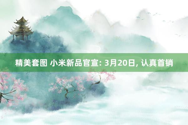 精美套图 小米新品官宣: 3月20日， 认真首销