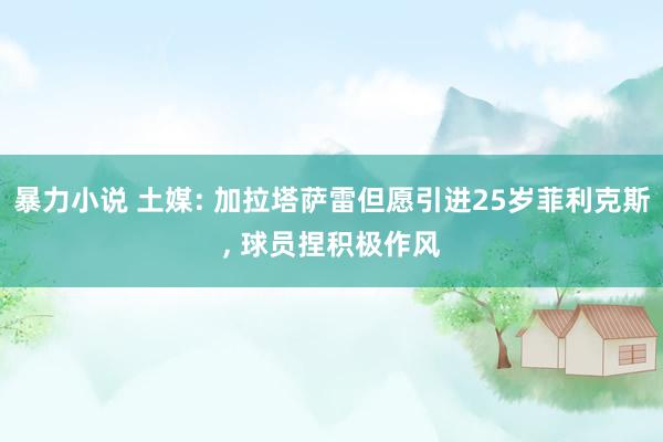 暴力小说 土媒: 加拉塔萨雷但愿引进25岁菲利克斯， 球员捏积极作风