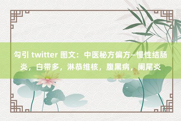 勾引 twitter 图文：中医秘方偏方—慢性结肠炎，白带多，淋恭维核，腹黑病，<a href=