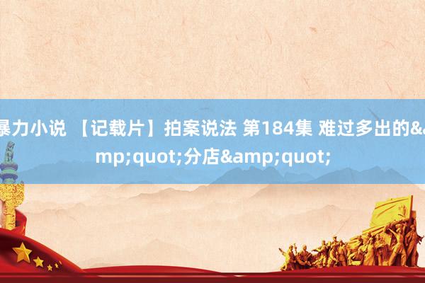 暴力小说 【记载片】拍案说法 第184集 难过多出的&quot;分店&quot;